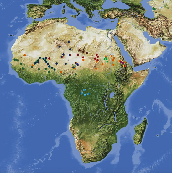 Map showing Entangled Africa research project areas of interest. 